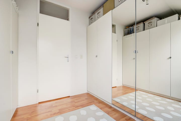 Foto 18 van Cichorei 14