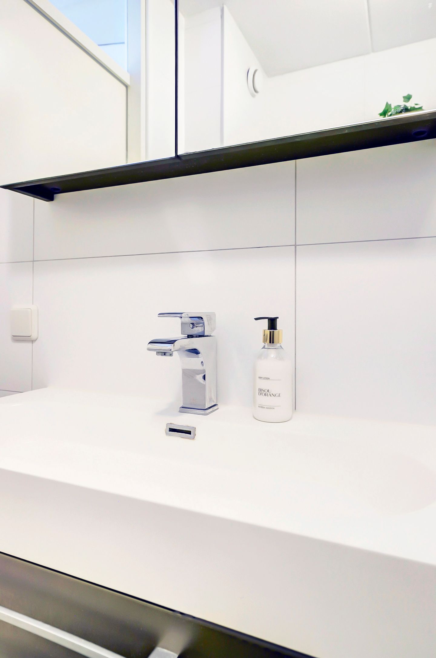 Foto 19 van Cichorei 14