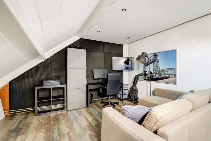 Foto 21 van Cichorei 14