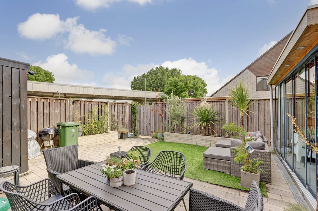 Foto 22 van Cichorei 14