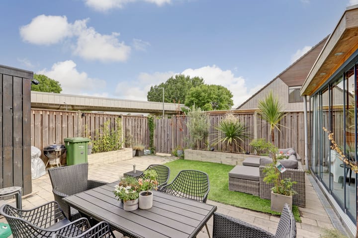 Foto 22 van Cichorei 14