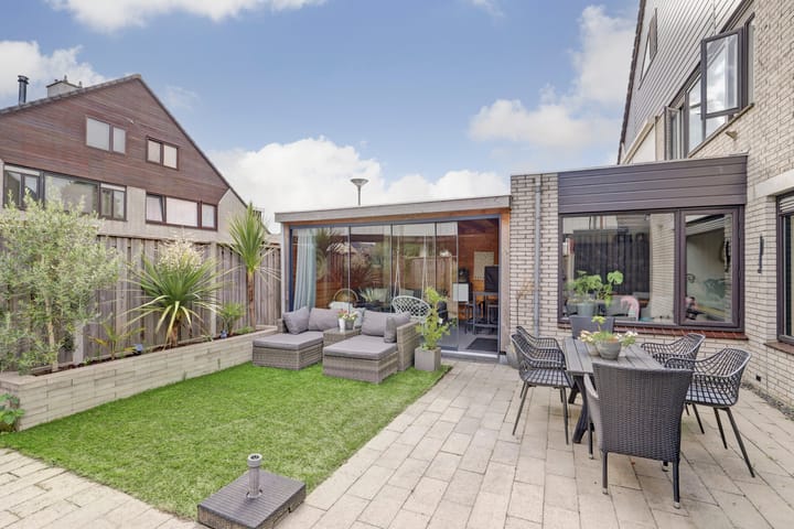 Foto 23 van Cichorei 14