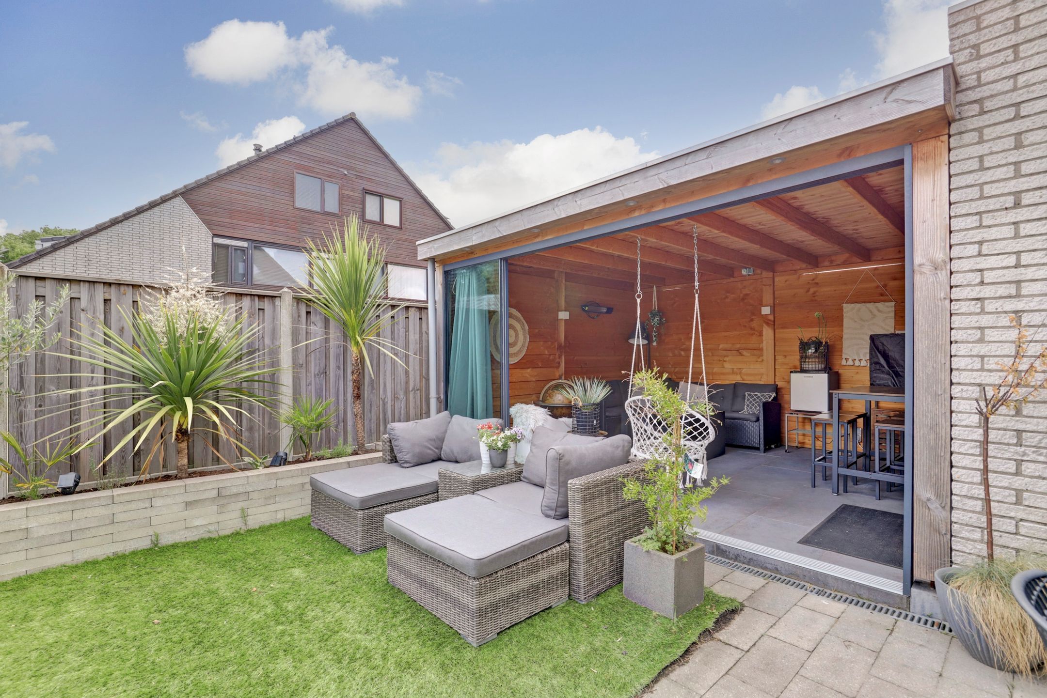 Foto 24 van Cichorei 14