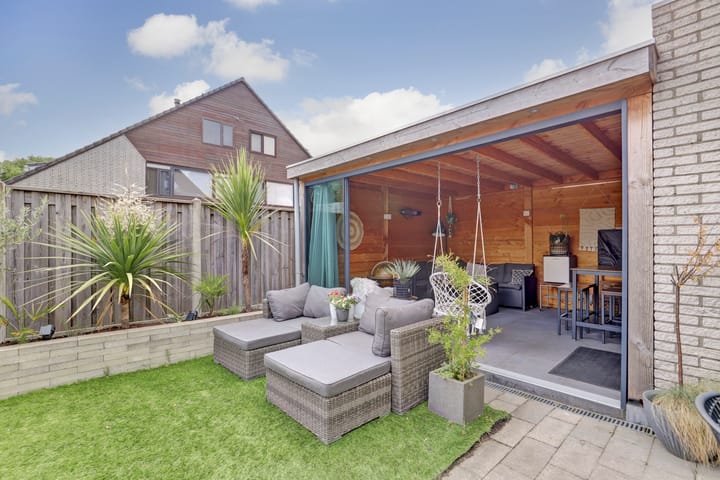 Foto 24 van Cichorei 14