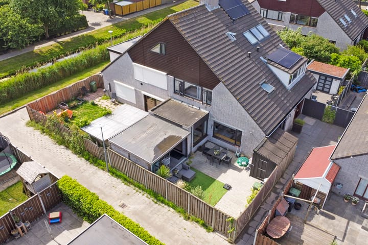 Foto 26 van Cichorei 14