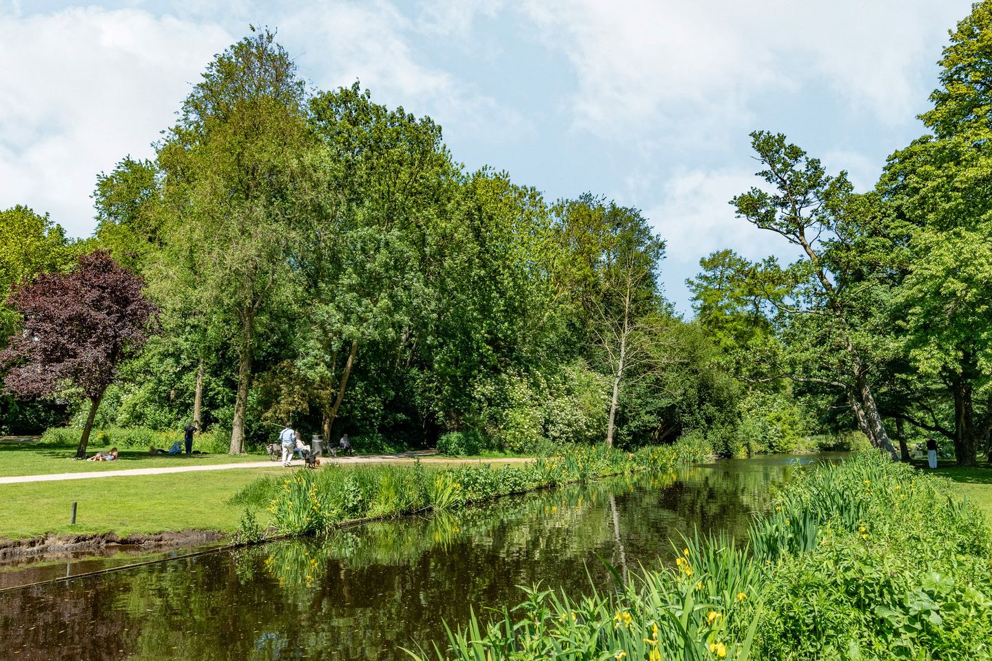 Foto 29 van Koninginneweg 130-3V