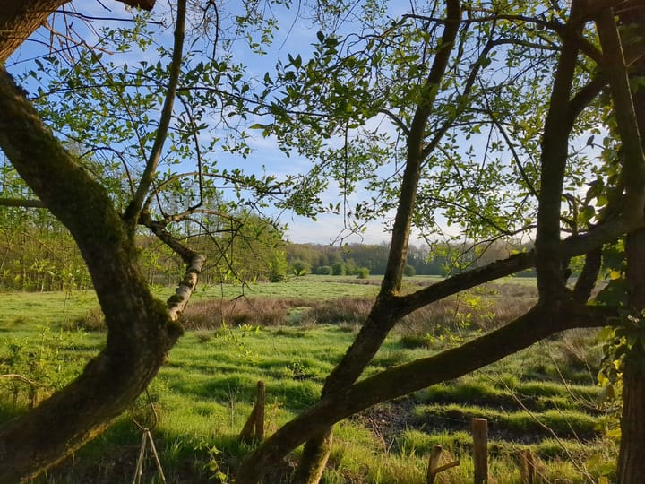 Foto 17 van Eemboerveldweg 2