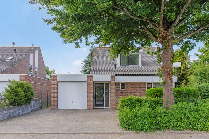 Foto 7 van Herfst 24