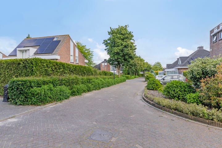 Foto 41 van Herfst 24