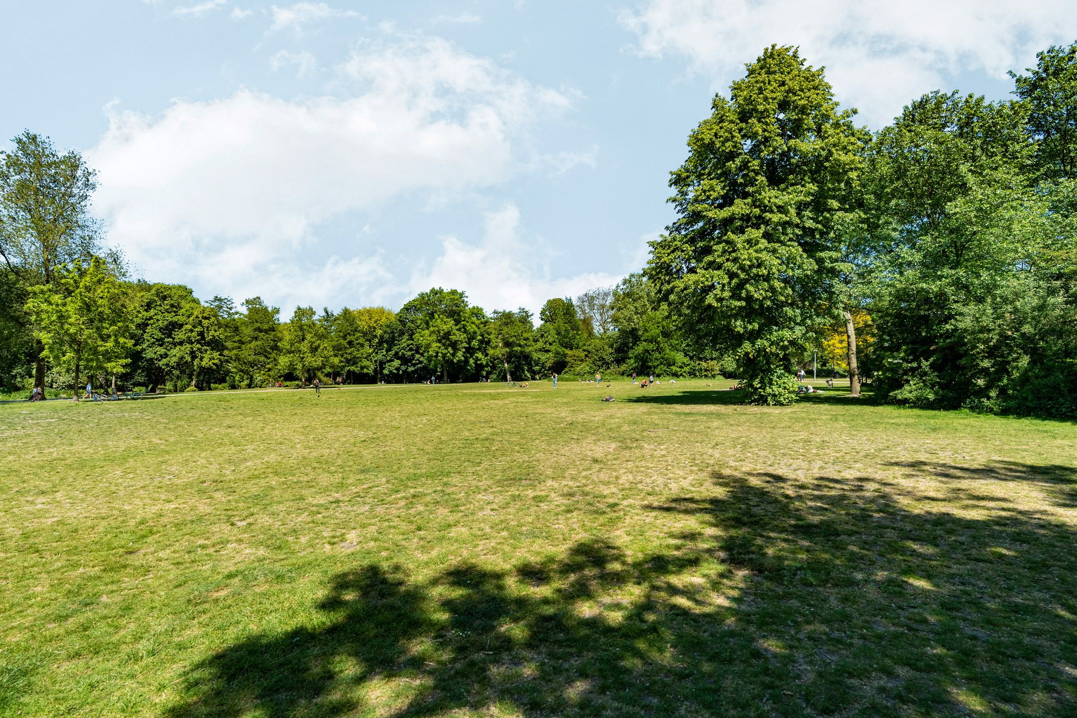 Foto 36 van Koninginneweg 130-4