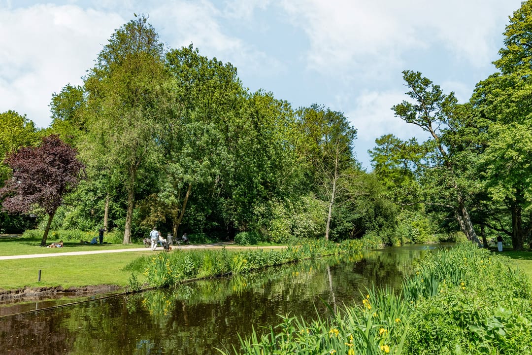 Foto 38 van Koninginneweg 130-4