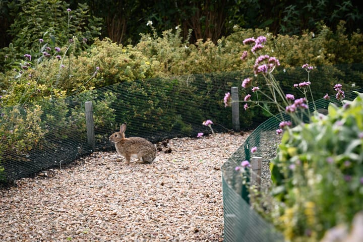 Foto 36 van Marinaweg 97