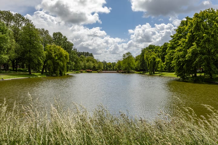 Foto 50 van Pioenstraat 193