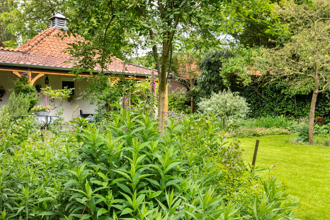 Foto 61 van Generaal Van Heutszlaan 10