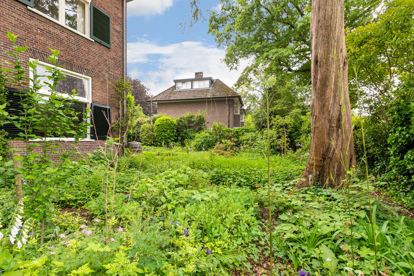 Foto 64 van Generaal Van Heutszlaan 10