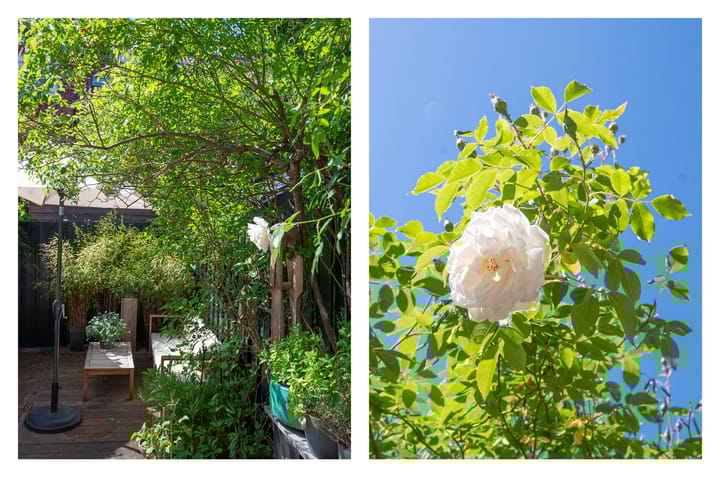 Foto 52 van Kijkduinstraat 31