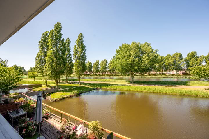 Foto 21 van Renoirstraat 88