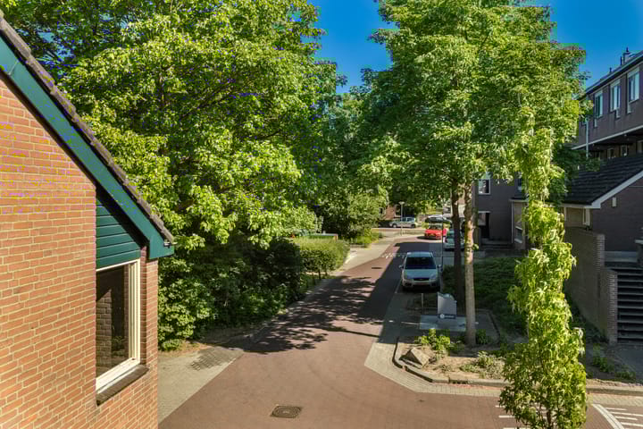 Foto 9 van Slangenburg 129