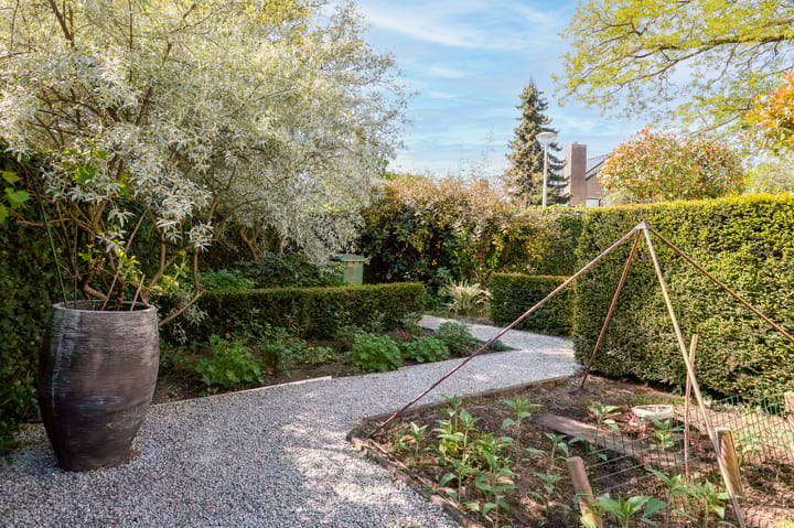 Foto 67 van San Giorgilaan 1