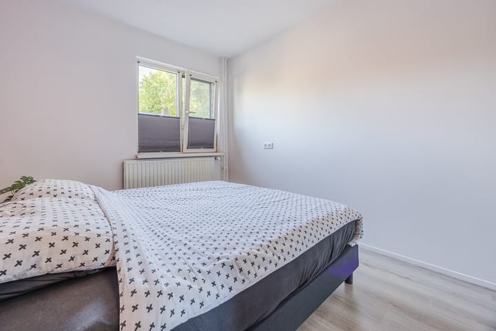 Foto 24 van Rode Schouw 10