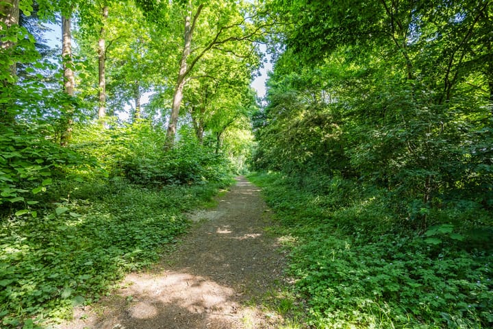 Foto 49 van Rode Schouw 10