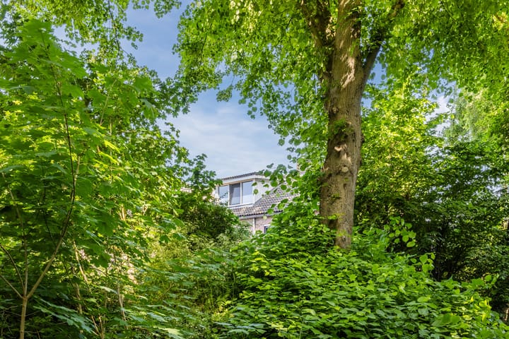 Foto 50 van Rode Schouw 10