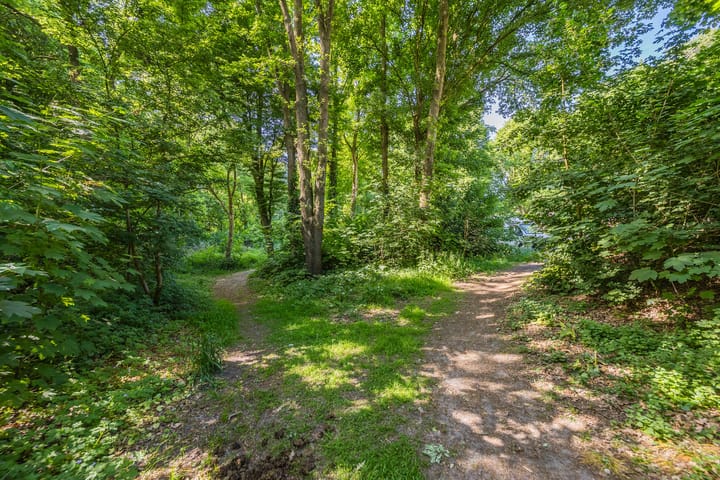 Foto 51 van Rode Schouw 10