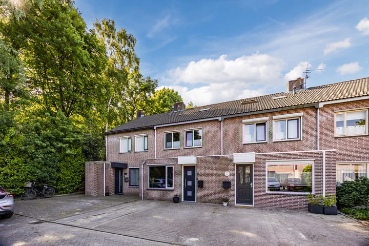 Foto 53 van Rode Schouw 10