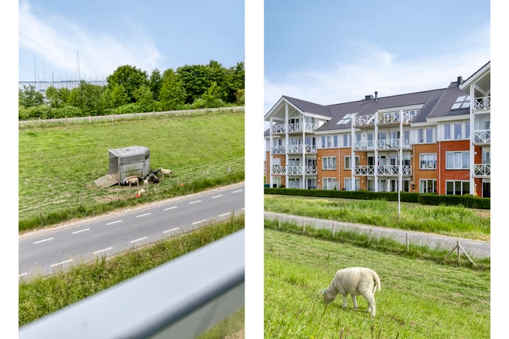 Photo 10 of Han de Lignieplein 29