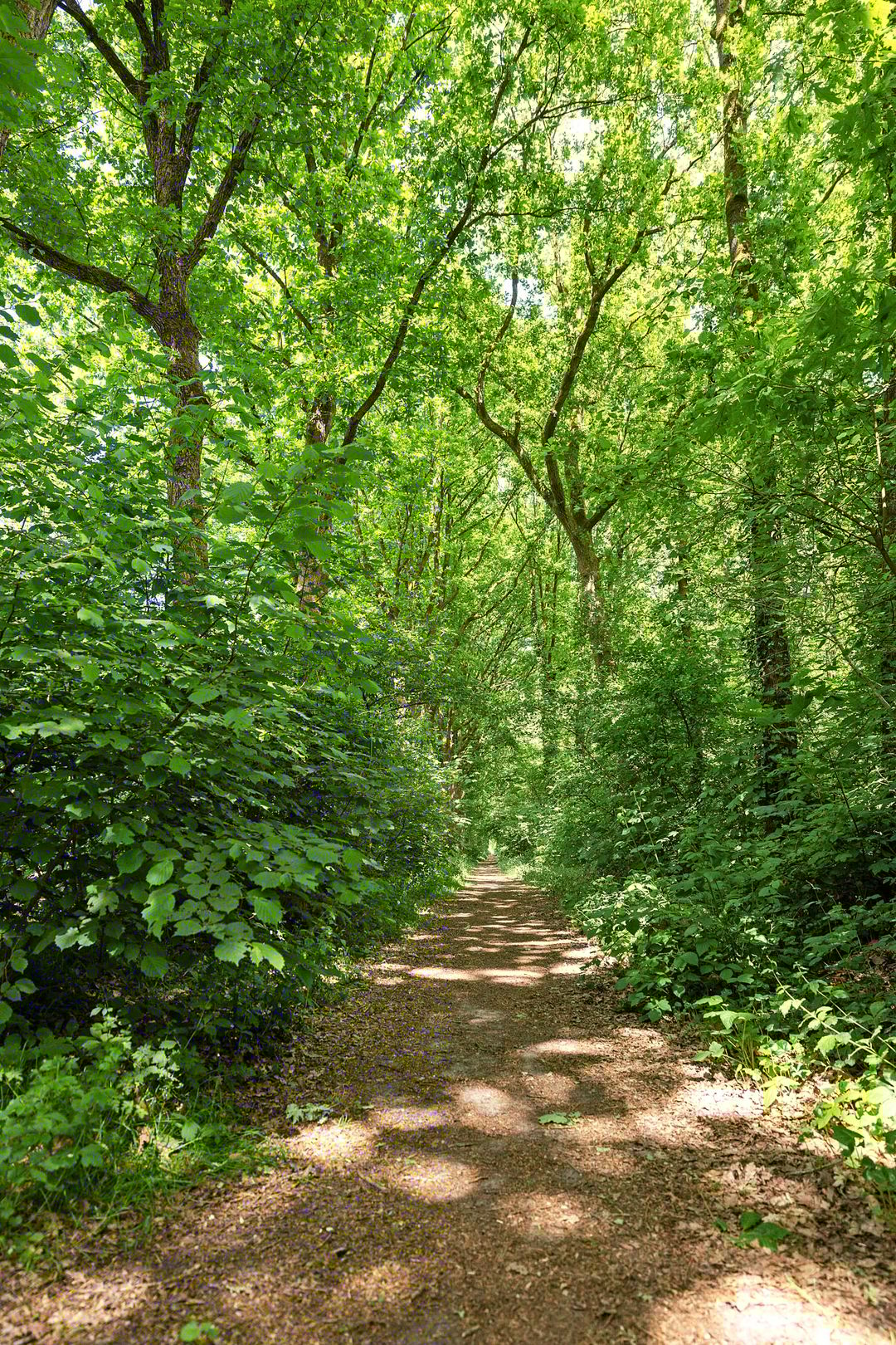 Photo 38 of Slenerweg 83-10