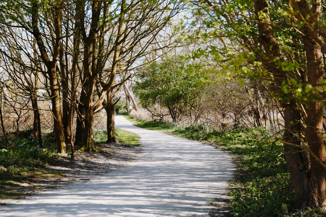 Foto 38 van Bosweg 40