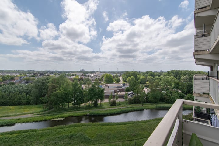 Foto 15 van Johan Willem Frisostraat 167