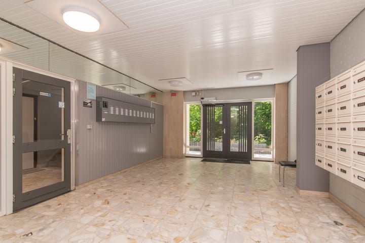 Foto 21 van Johan Willem Frisostraat 167