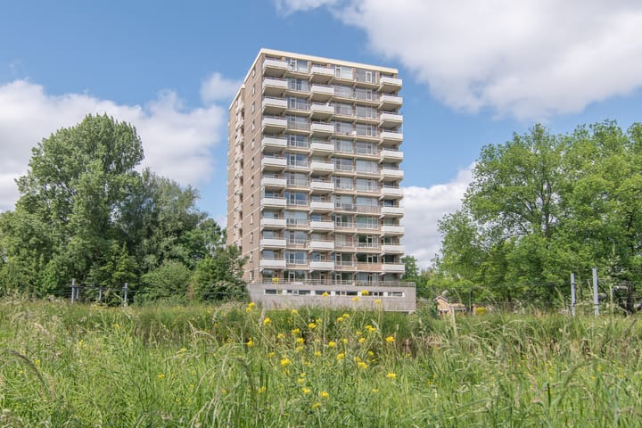 Foto 22 van Johan Willem Frisostraat 167