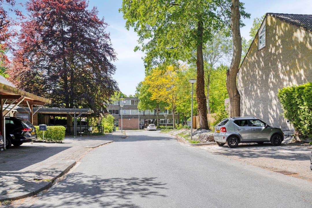 Foto 43 van Gangboord 3