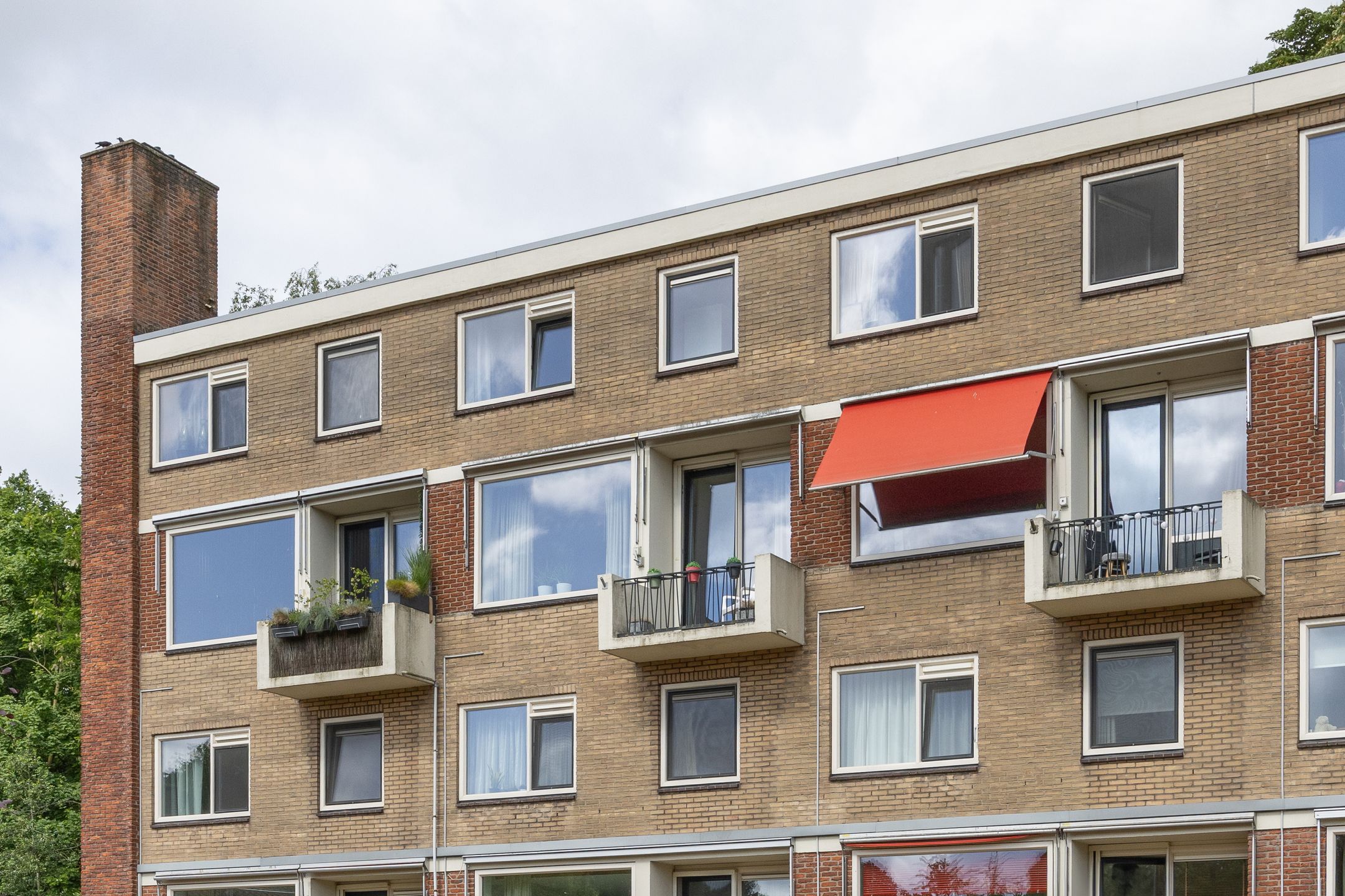 Foto 3 van Oliemolensingel 256