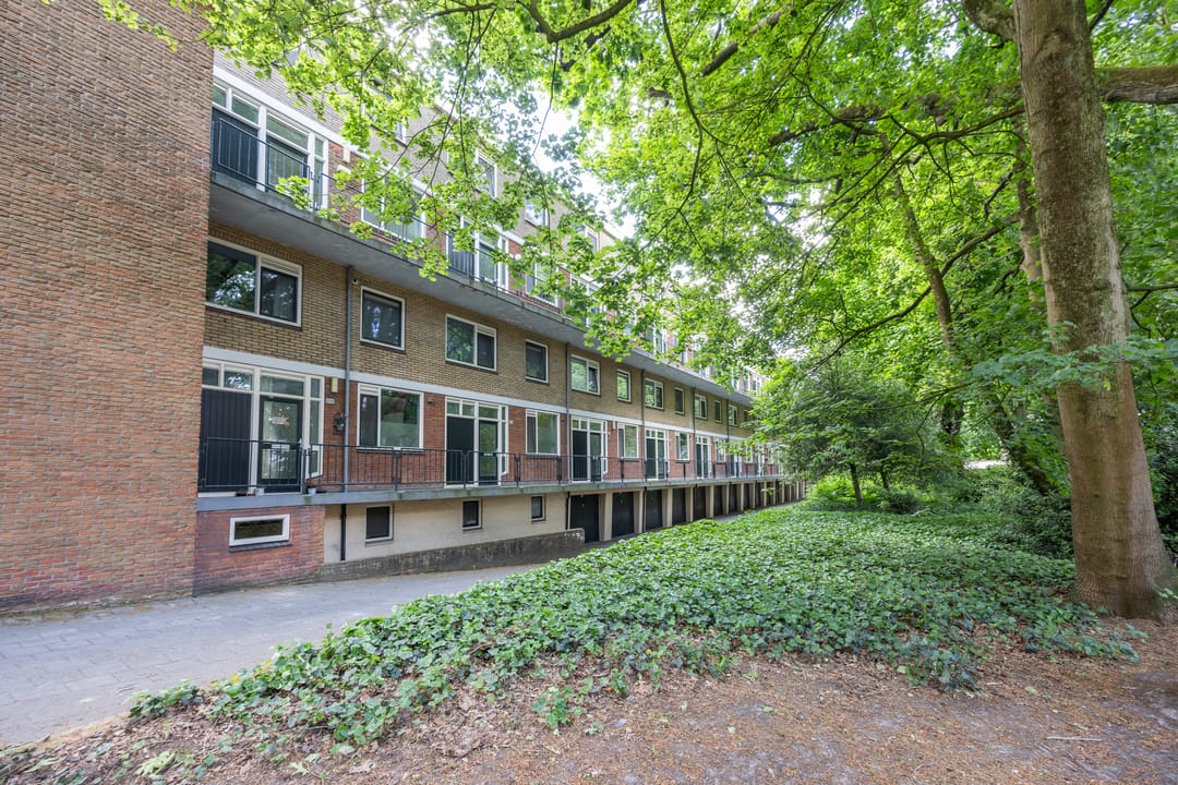 Foto 31 van Oliemolensingel 256