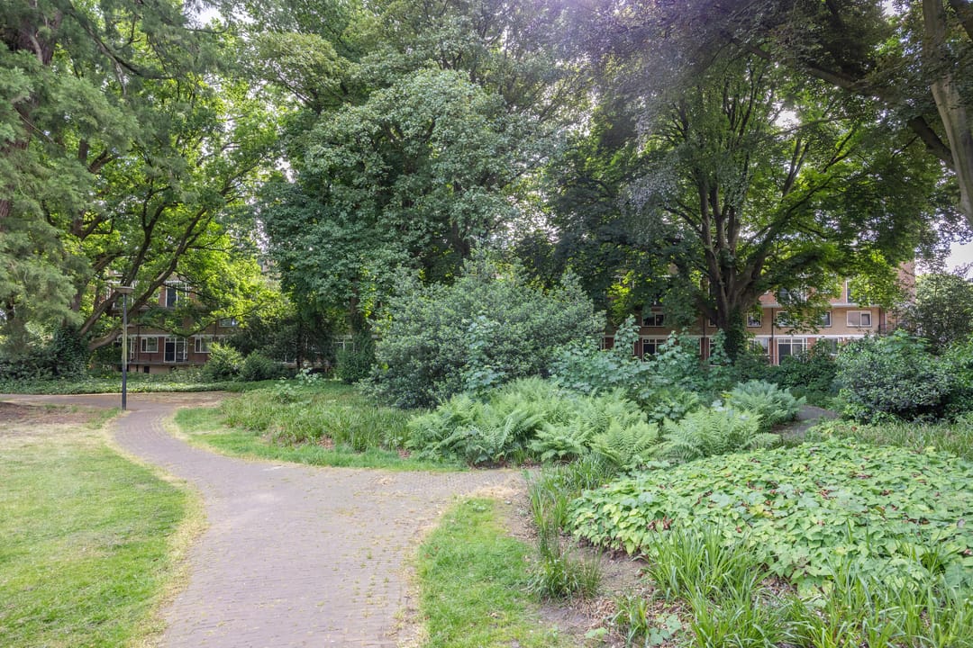 Foto 32 van Oliemolensingel 256