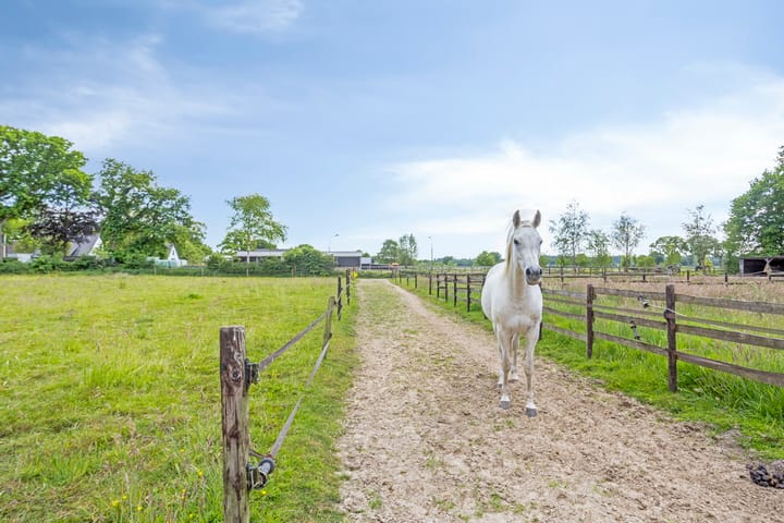 Foto 29 van Lombokweg 7