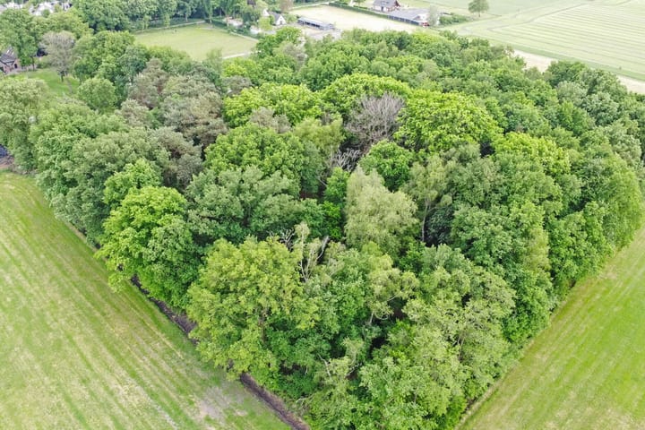 Foto 37 van Lombokweg 7