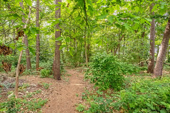 Foto 47 van Lombokweg 7