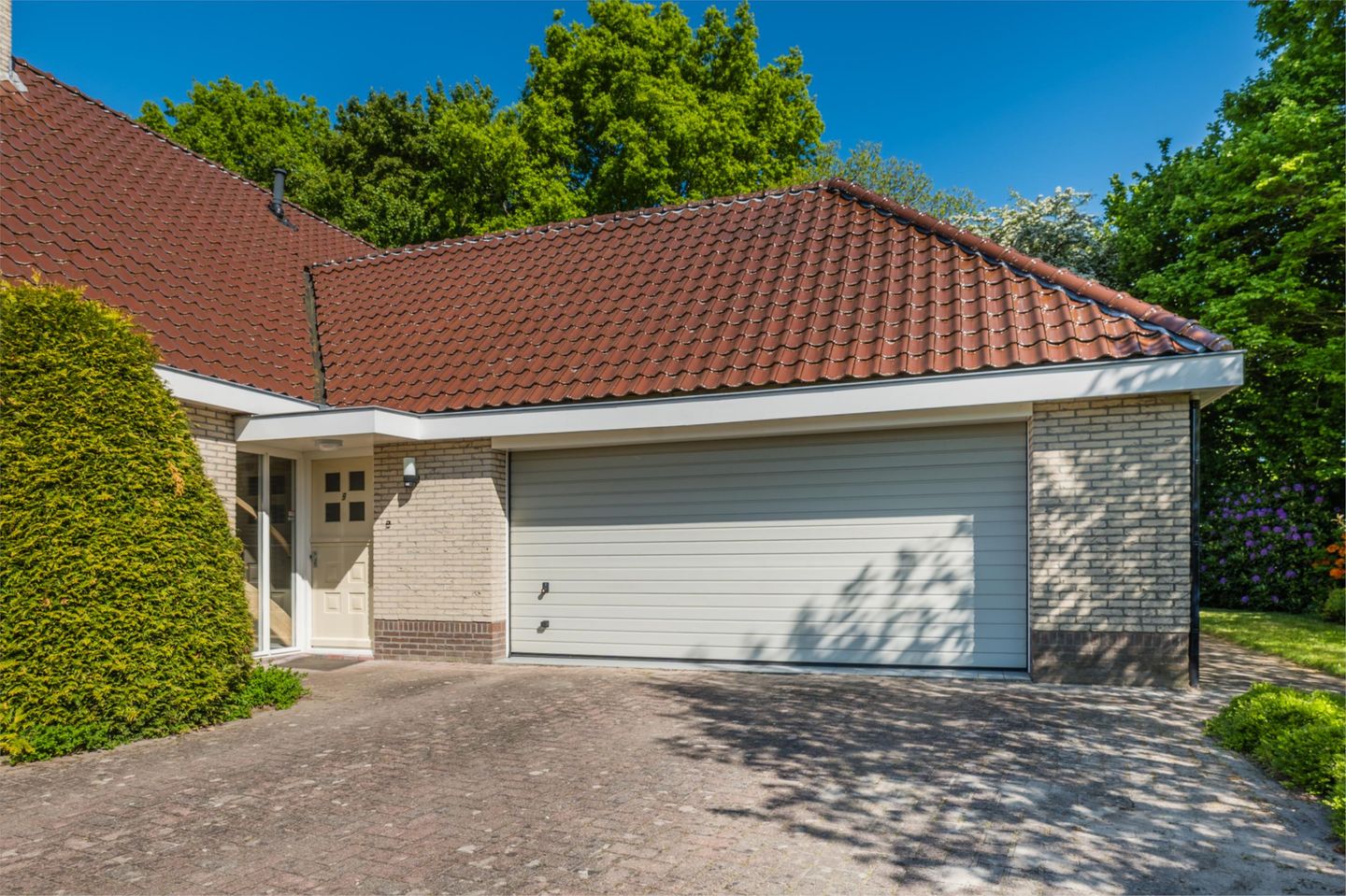 Photo 5 of Stelmaker 9