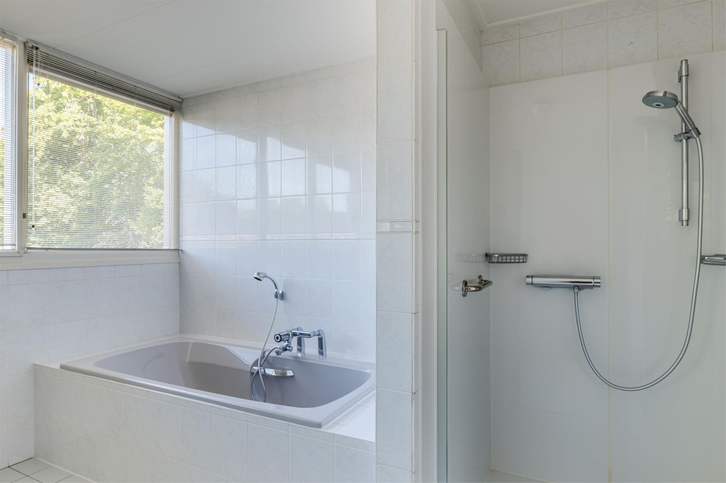 Photo 34 of Stelmaker 9