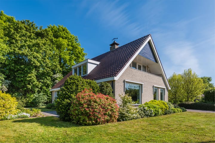 Photo 44 of Stelmaker 9