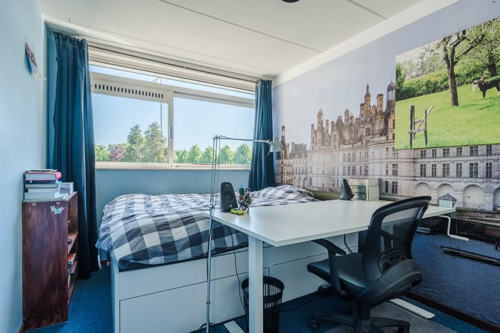 Foto 47 van Noordzijde 56