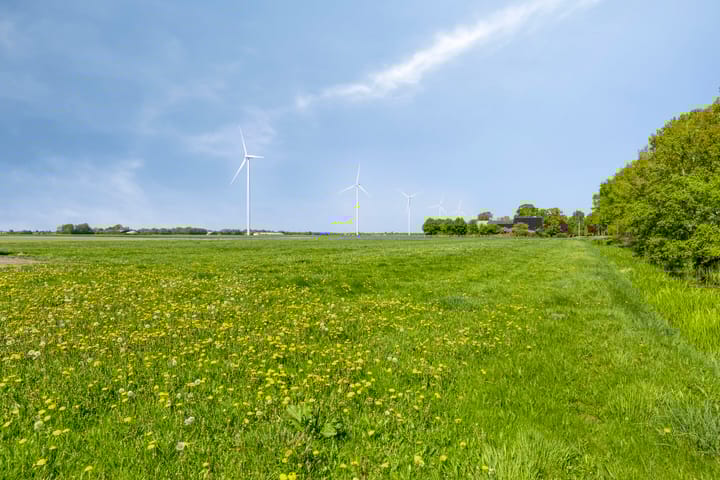 Photo 10 of Nieuwediep 50