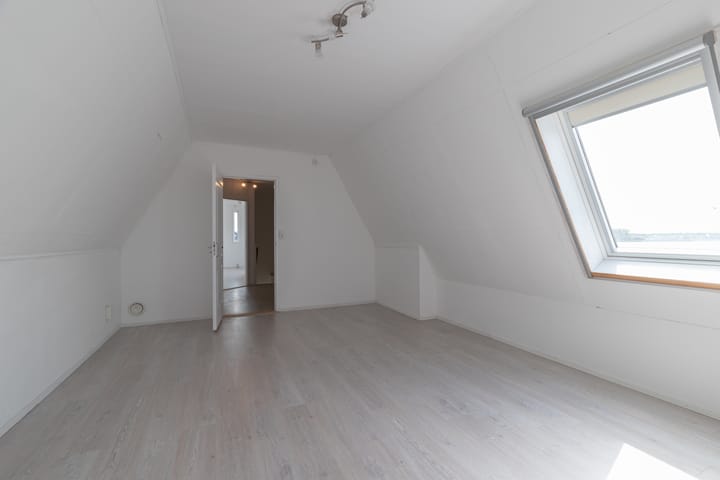 Foto 51 van Watersnip 37