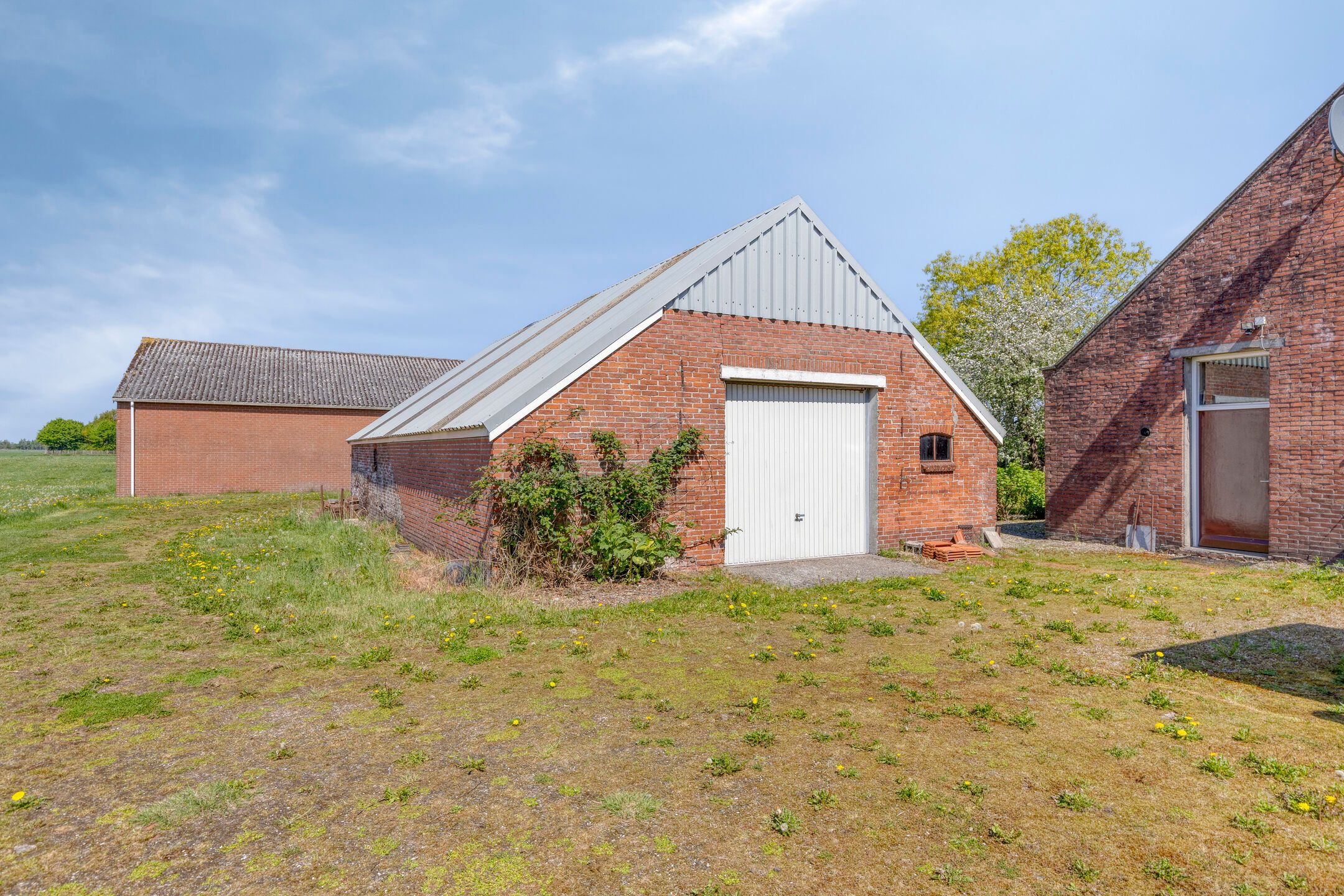 Foto 39 van Nieuwediep 50