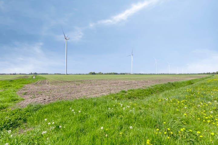 Photo 44 of Nieuwediep 50