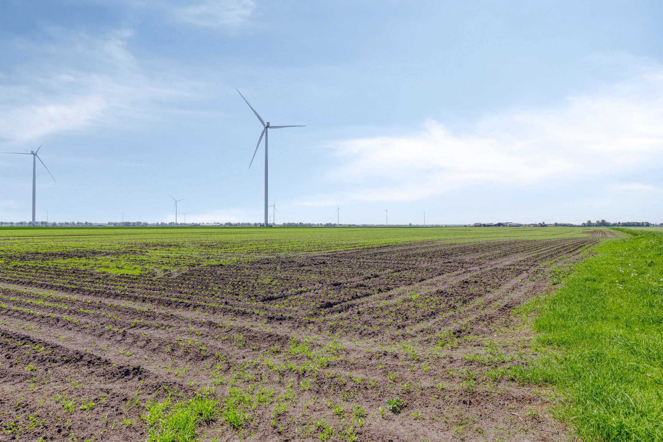 Foto 45 van Nieuwediep 50